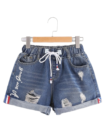 Denim Shorts 2