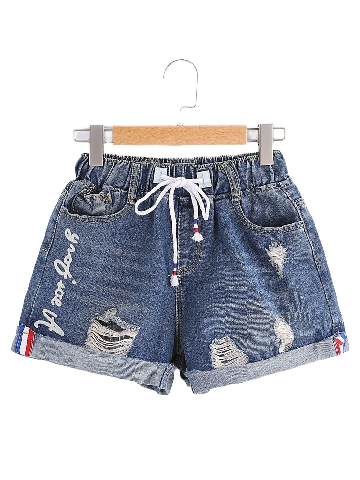 Denim Shorts 2